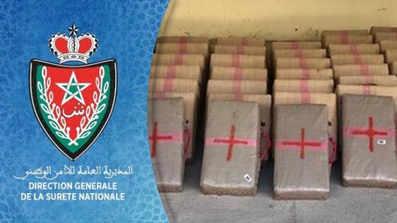 الدار البيضاء .. حجز خمسة أطنان و222 كلغ من مخدر الشيرا وتوقيف ثلاثة أشخاص ضمنهم فرنسي من أصول مغربية