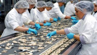 فيروس كورونا..إنفجار بؤرة شبه صناعية يستنفر المصالح الأمنية والصحية بالداخلة