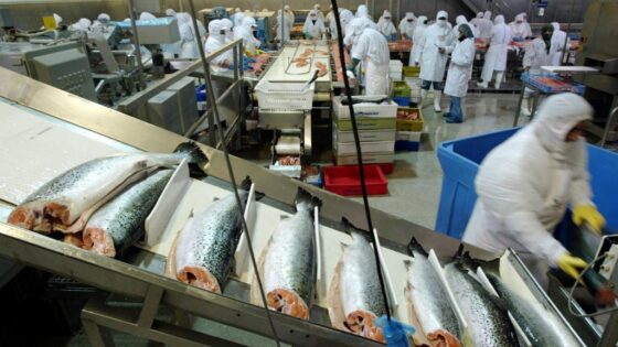 متابعة بعض المسؤولين عن تسيير وحدة صناعية لتصبير الأسماك بآسفي من أجل خرق أحكام المرسوم بقانون المتعلق بحالة الطوارئ الصحية
