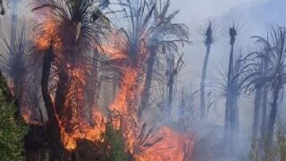 إخماد حريق في واحة آيت منصور قرب مدينة تافراوت