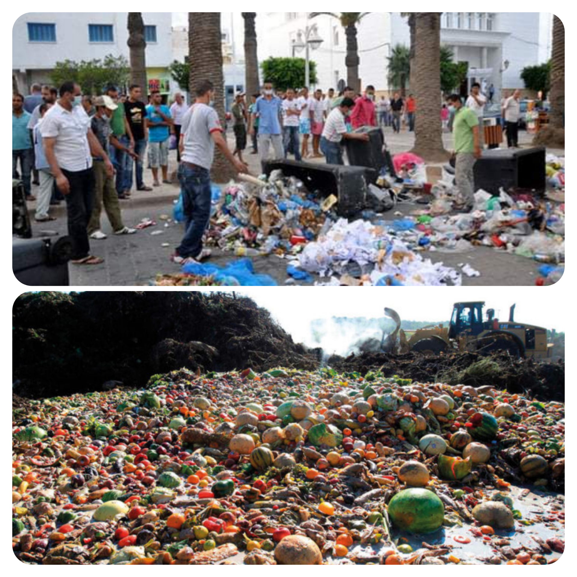 تقرير رسمي: المغاربة يرمون أزيد من 3 مليون طن من الطعام في القمامة ومليار طن من الطعام على الصعيد العالمي