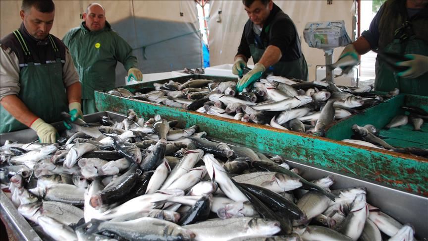 لجنة برلمانية تصادق على اتفاقية الصيد البحري مع روسيا