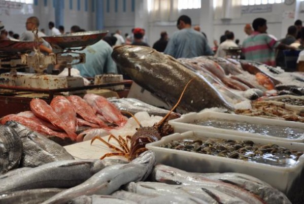 الصيد البحري.. ارتفاع قيمة المنتجات المسوقة بنسبة 21 في المائة في الربع الأول من 2021