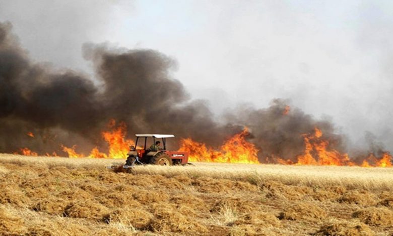 برشيد: النيران تأتي على 120 هكتارا من محاصيل الحبوب