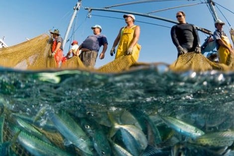 المغرب يؤكد حرصه على نجاح المفاوضات بشأن إعانات مصايد الأسماك في الموعد المحدد