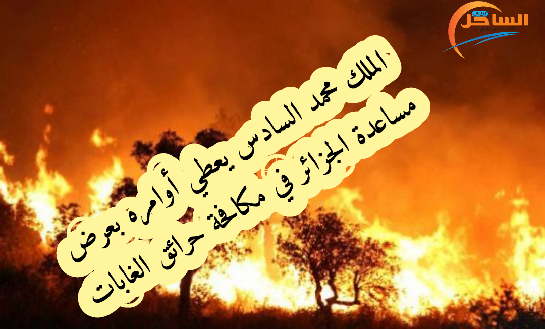 الملك محمد السادس يعطي أوامره بعرض مساعدة الجزائر في مكافحة حرائق الغابات