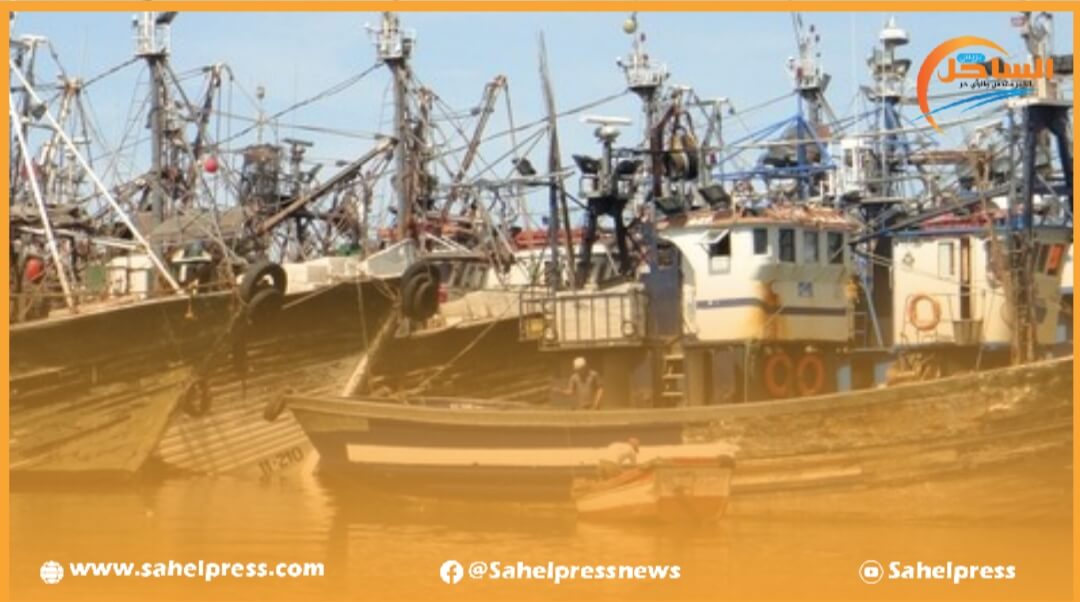 الداخلة .. رابطة النقابات الحرة تندد بالطرود التعسفية التي تنهجها شركات عاملة بقطاع الصيد البحري