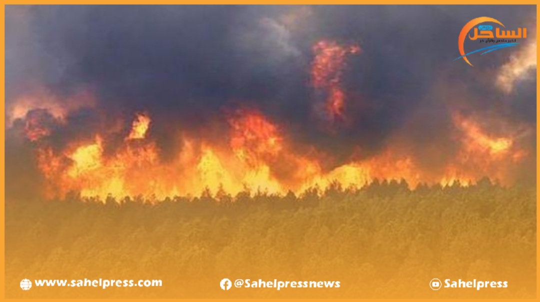 حريق جديد يندلع في غابة ماوزلاف الواقعة بإقليم شفشاون