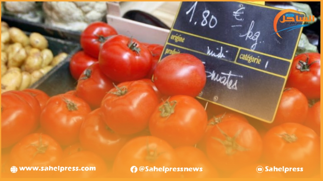 صادرات المملكة المغربية من الطماطم تزعج بعض النقابات الفرنسية وتخرجها عن صمتها