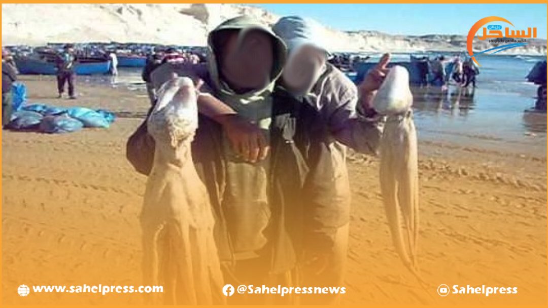 الفاو ..المغرب نجح في تحقيق قفزة نوعية في تدبير مصايد الأسماك