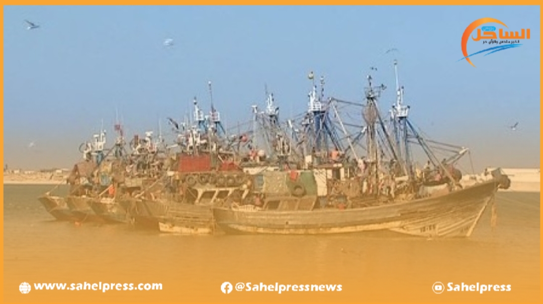 جمعيات ناشطة في قطاع الصيد البحري بميناء الداخلة تراسل وزير الفلاحة والصيد البحري للحفاظ على الثروة السمكية