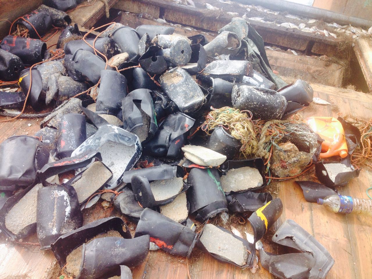 هل تساهم القوارير البلاستيكية لصيد الاخطبوط في قتل البيئة البحرية لجهة الداخلة ؟