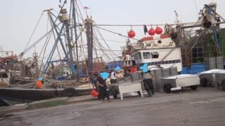 عاجل .. تمديد الراحة البيولوجية للأسماك السطحية إلى غاية ؟