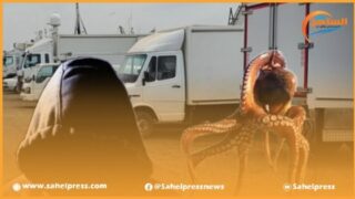 تسريبات جديدة للمدعو “اللحية” تؤكد إنخراطه المنظم في إستنزاف الثروة البحرية (الأخطبوط)