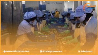 تفاصيل مثيرة حول آفة تهرب أرباب الشركات بالداخلة من التصريح بالأجراء في الصندوق الوطني للضمان الإجتماعي