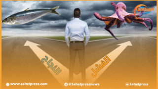 المستثمر الناجح بالداخلة ما يميزه عن غيره من المستثمرين الفاشلين ؟( الصيد البحري نموذجا)