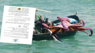 مهنيو الصيد التقليدي بالداخلة يعيشون نشوة الفرحة بالعودة إلى المصيدة بعد إضافة كوطا جديدة