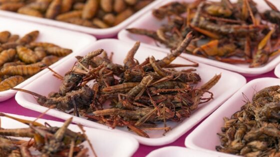كيف ستتعامل ساكنة الأقاليم الجنوبية مع قرار المفوضية الأوربية بخصوص مزج المواد الغذائية بالحشرات ؟