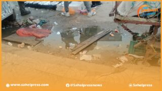 أسماك فاسدة تباع في ظروف غير صحية في السوق العشوائي بحي السلام (الداخلة)