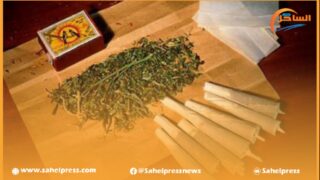 قناة إعلامية فرنسية تتهم المغرب بإغراق فرنسا بالحشيش