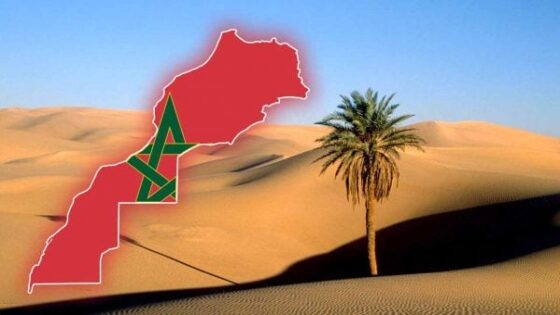 إدارة جزء من المجال الجوي للصحراء ملف مطروح للنقاش بالإجتماع المرتقب بين المغرب وإسبانيا