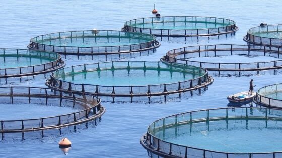 بمبلغ 10 ملايين أورو .. إسرائيل توقع مع المغرب اتفاقية شراكة لإنشاء مزرعة للأسماك بالقرب من طنجة