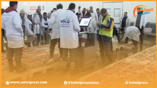 تقرير .. الكميات المفرغة من المنتجات المسوقة من الصيد الساحلي والتقليدي ترتفع بنسبة 2 في المائة