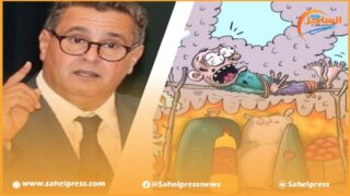 هل سقطت حكومة أخنوش في فخ التناقض بخصوص أسعار المواد الإستهلاكية