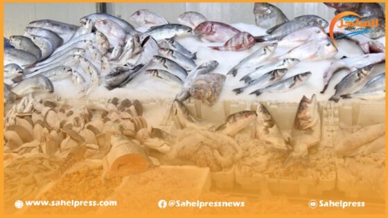ارتفاع أثمنة المحروقات يقابله زيادات كبيرة في أسعار بيع الأسماك