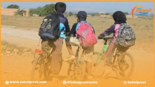 للحد من ظاهرة الهدر المدرسي .. شركة بيك تطلق حملة وطنية بشعار “باش ما يحطوش الستيلو”