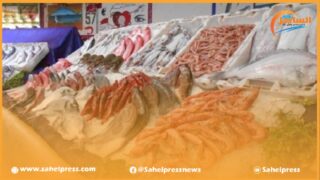 الداخلة .. إعطاء إنطلاقة مبادرة “حوت بثمن معقول”