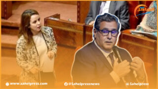 أخنوش يوجه اتهامات كبيرة لوزيرة تقدمية وهذه الأخيرة ترد ؟