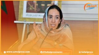 تخصيص مبلغ 10 مليار سنتيم لصباغة واجهات مدن جهة كلميم وادنون يجر انتقادات واسعة على مجلسها الجهوي