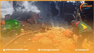 تقرير برلماني يسلط الضوء على ضياع آلاف الأطنان من المنتوجات الفلاحية بالمغرب