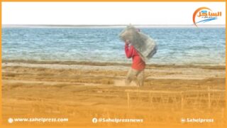 بشرى سارة للشباب المستثمر في قطاع الأحياء البحرية بجهة الداخلة وادي الذهب