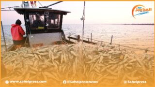 مفرغات الصيد البحري تسجل زيادة بنسبة 9 في المائة مقارنة بالفترة نفسها من سنة 2022