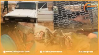 محكمة الإستئناف بالعيون تصدر أحكاما قضائية تصل إلى 73 سنة على عصابة سارقي الإبل