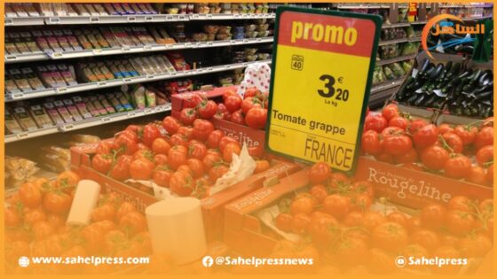 الطماطم المغربية تدفع أربع دول أوروبية للإحتجاج على الاتحاد الأوروبي (تفاصيل)