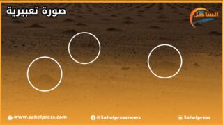 إنتقادات تطال مشاريع التشجير بمدينة الداخلة !