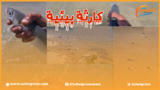 ناشطون بيئيون يدقون ناقوس الخطر بخصوص المشاريع السياحية التي تغتصب “البيئة البحرية” بخليج وادي الذهب