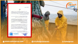 كونفدرالية الصيد الساحلي والصيد التقليدي تنسحبان من أشغال اجتماع لجنة تتبع مصيدة الأخطبوط لهذا السبب (بيان)