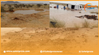 أمطار الخير تتهاطل بغزارة على بادية أوسرد وتدخل الفرحة في قلوب الكسابة