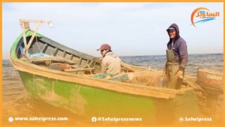 تخوف بحارة الصيد التقليدي من تكرار سيناريو 2022 بتمديد الراحة البيولوجية ؟