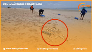 تأويلات لنفوق السمك السطحي بالداخلة : بين من يرجعها إلى ظاهرة “القمل” ومن يعتبرها مرض فيروسي ؟