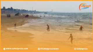قناديل البحر السامة تجتاح شاطئ فم الواد بالعيون
