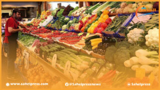 المغرب هو المورد الأول لسوق الاستيراد الإسباني من الخضر والفواكه