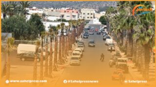 حركة مغرب البيئة 2050 تطالب بتوقيف الغرس العشوائي للنخل بالمدن خارج المجال الواحاتي