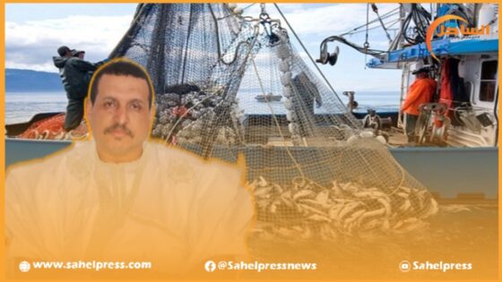 النائب البرلماني ” أمبارك حمية ” يدعو إلى ضرورة دعم وحدات تجميد منتجات الصيد البحري لتغيير ناشطها إلى التثمين