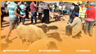 بشرى سارة للموظفين المتقاعدين بمناسبة عيد الأضحى