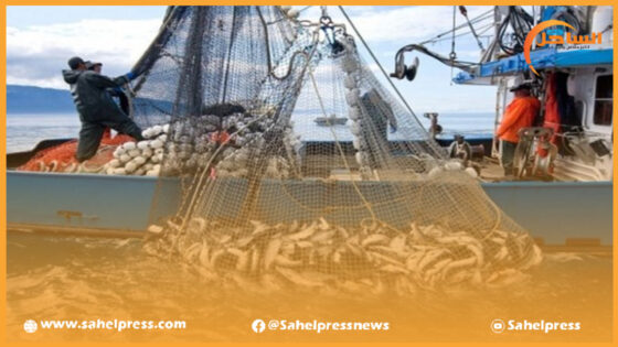 إنخفاض بنسبة 11 ٪ في حجم الكميات المفرغة من منتجات الصيد الساحلي والتقليدي